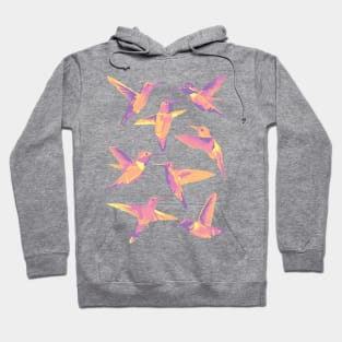 Hummingbirds Hoodie